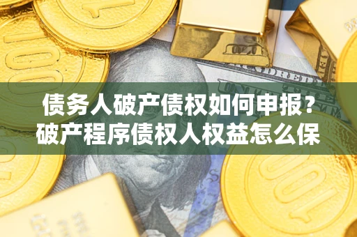 北京债务人破产债权如何申报？破产程序债权人权益怎么保障？