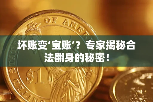 北京坏账变‘宝账’？专家揭秘合法翻身的秘密！