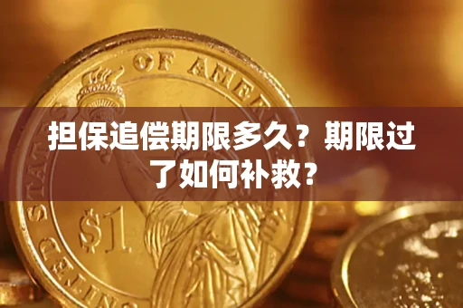 北京担保追偿期限多久？期限过了如何补救？