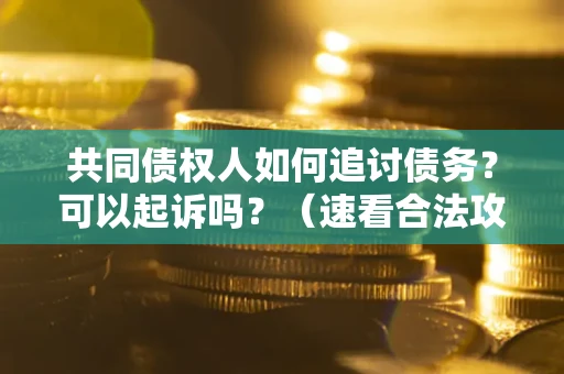 北京共同债权人如何追讨债务？可以起诉吗？（速看合法攻略）